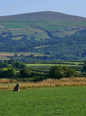 Immagine alternativa