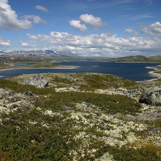 Parco nazionale Hardangervidda