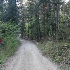 Nature Reserve Liwocz