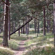 Mälarhusens naturreservat