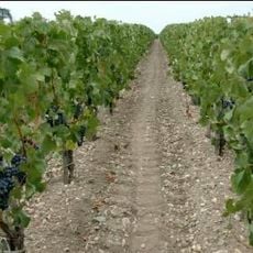 Château Chambert-Marbuzet