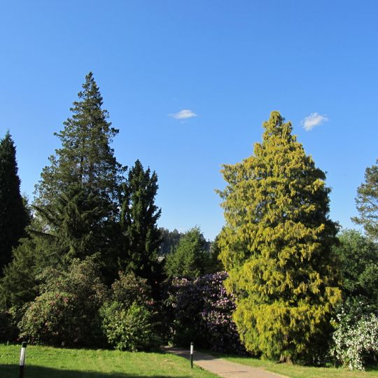 Sachgesamtheit Rhododendronpark Kleine Bastei mit folgenden Einzeldenkmalen: Pension mit Gaststätte und Nebengebäude , dazu Parkanlage mit Teich, Aussichtsplatz und bedeutendem Gehölzbest