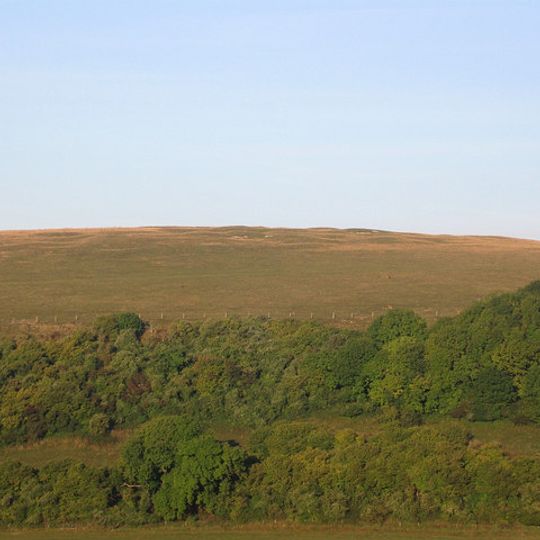 Prehistoric flint mine and a Martin Down style enclosure on Harrow hill, 850m south east of Lee Farm