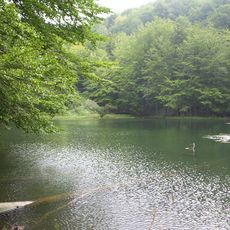 Nature reserves Zwiezło