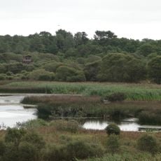 Lagoa de Cospeito