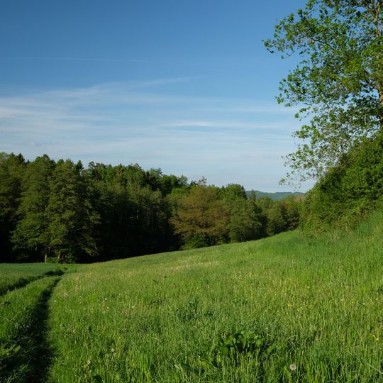 Lippertsreuter Umland