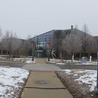 Novi