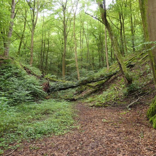 Neckarufer Seitelsgrund-Moosklinge