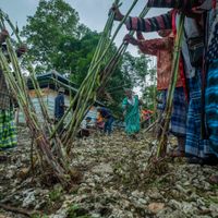 Reggenza di Buton Centrale