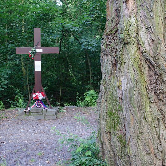 US Pilots Memorial near Bystrovany