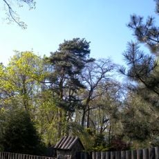 Park in Górki Małe