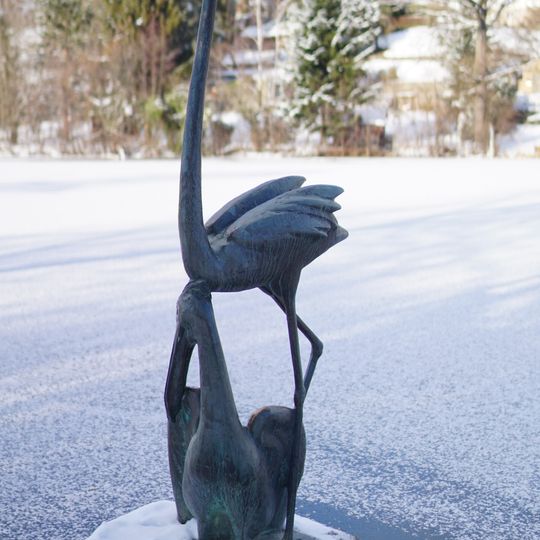 Flamingo und Pelikan