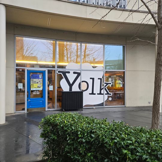 Yolk
