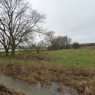 Aldwincle Marsh