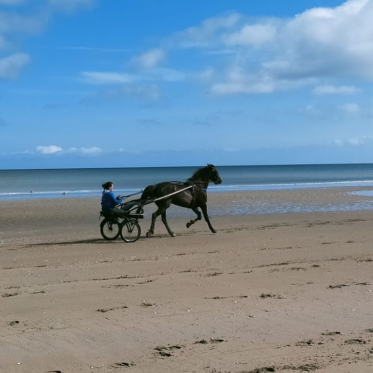 Promenade Marcel Proust