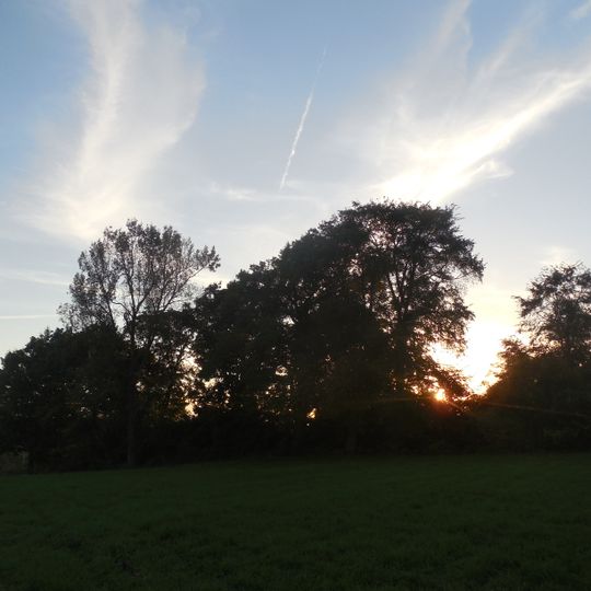 Park in Brzezie, powiat starachowicki