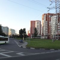 Obruchevsky District