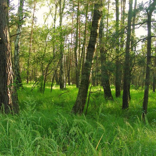 Rezerwat przyrody Prądy