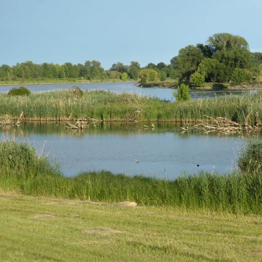 Donauauen bei Stadldorf