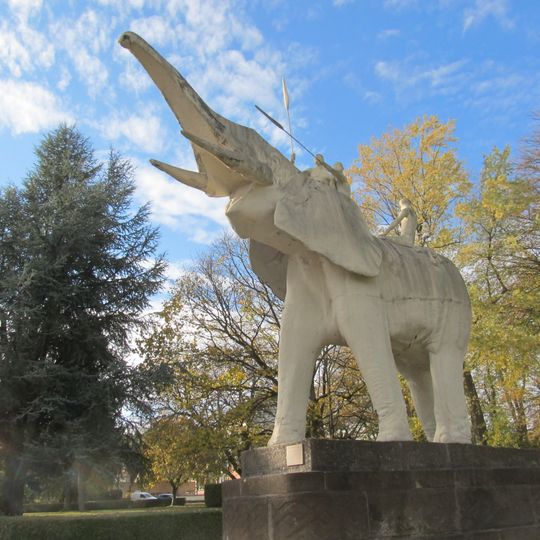 Olifant bereden door Zwarten