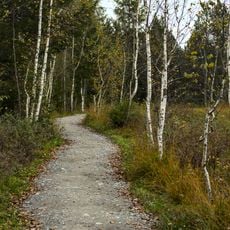 Schutz von Landschaftsteilen des Tiefenberger Mooses