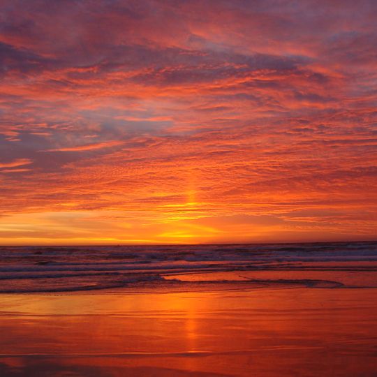 Salinas River State Beach