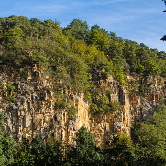 Biosphärenreservat Pfälzerwald