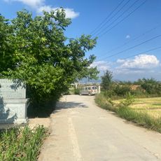 Hanzhuang City site