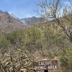 Cactus Picnic Area