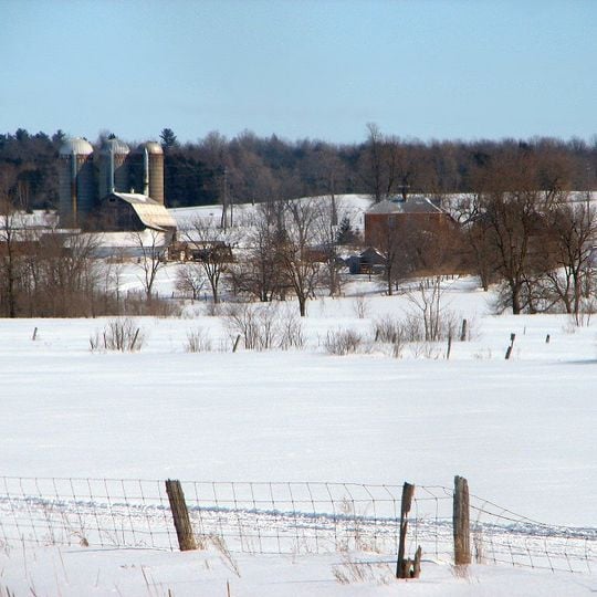 Contee unite di Prescott e Russell