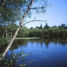 Tversted-Seen
