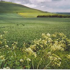Milk Hill