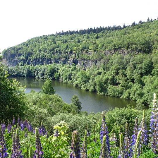 Vogelschutzgebiet Meißner