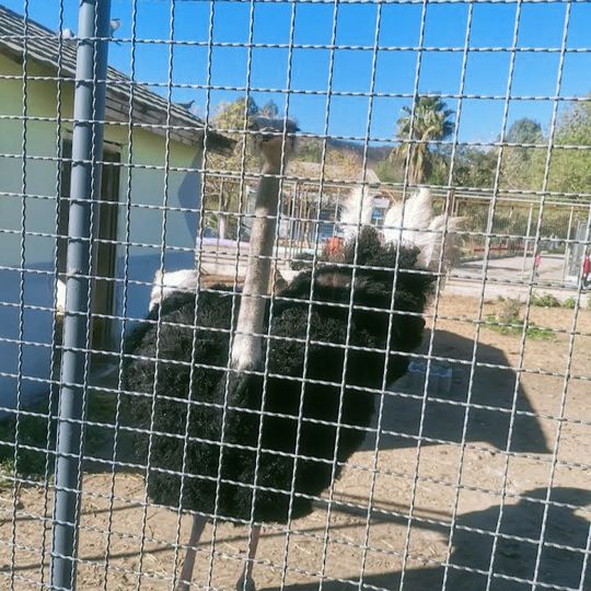 حديقة الحيوانات والتسلية برابطية القالة