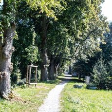 Lipové stromořadí v Krčíně