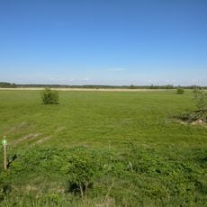 Kalnciems Meadow