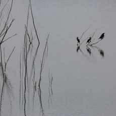 Teufelsee und Pfaffensee zwischen Echzell und Reichelsheim-Weckesheim