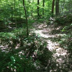 Morgan–Monroe State Forest