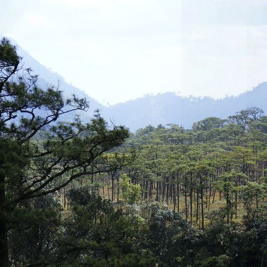 Parc national de Phu Soi Dao