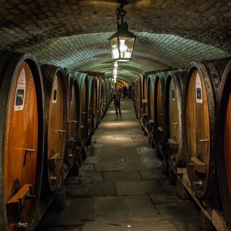 Adega do Hospital Civil