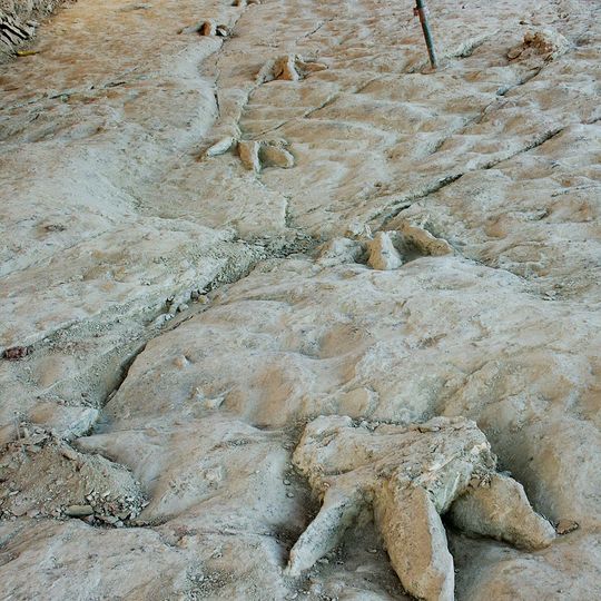 Yacimiento icnológico de Costalomo