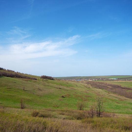 Novopavlivs'kyj botanical preserve