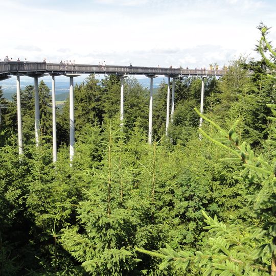 Waldwipfelweg