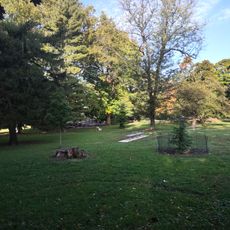 McMichael Park