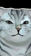 Yeti Cat