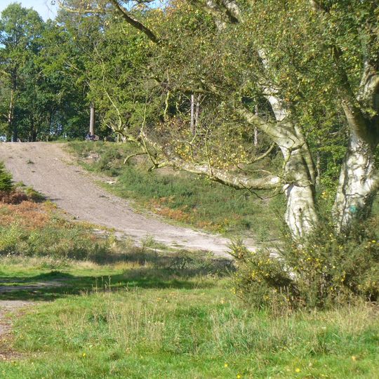 Oxshott