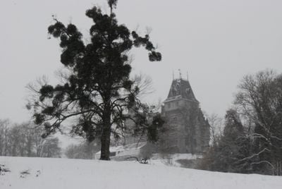 Winter 0