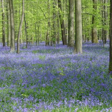 Verborgene Orte in Belgien