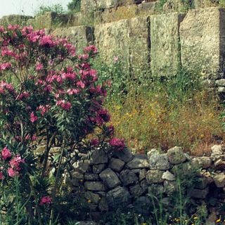 Royal necropolis of Byblos