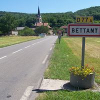 Bettant